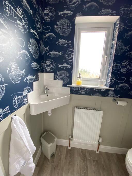 Sea Biscuit Cottage, Scarborough Extérieur photo